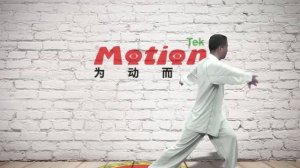 Даоинь яншэнгун шиэрфа - 12 форм даоинь питания жизни