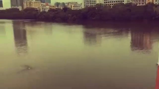 Как китайцы ловят рыбу смотреть онлайн