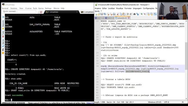 Auditoria Oracle - Limpando os dados de Auditoria смотреть онлайн