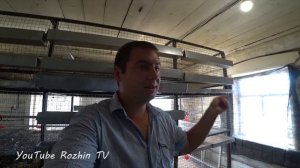 Бройлеры выращивание и уход. Забой бройлера / Бизнес на бройлерах
