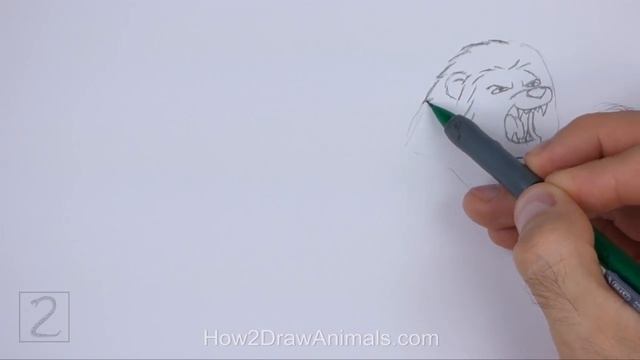 How to Draw a Lion Roaring (Cartoon) смотреть онлайн