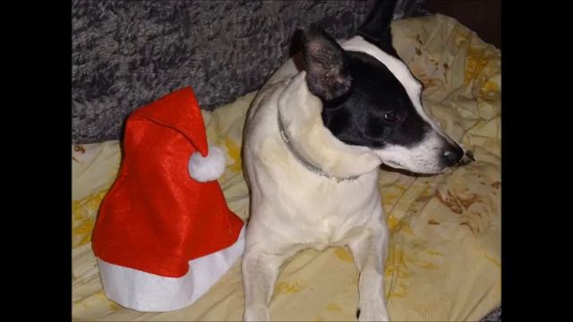 Happy Christmas 2014