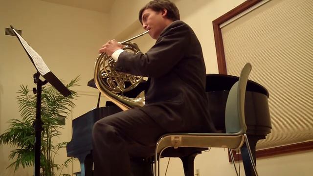 Matthew's Mozart Horn Concerto #2 in E-flat 2nd mov. Andante смотреть онлайн