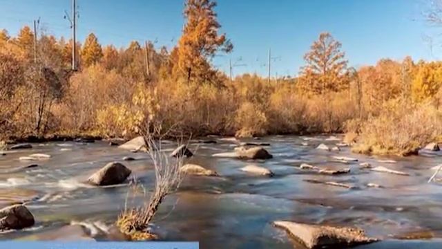 ОСЕННЕЕ НАСТРОЕНИЕ ФОТОКОНКУРС смотреть онлайн