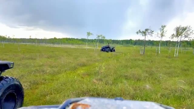 СНЕГОБОЛОТОХОД СЕКАЧ смотреть онлайн