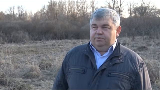 Восстановление популяции фазанов в области смотреть онлайн