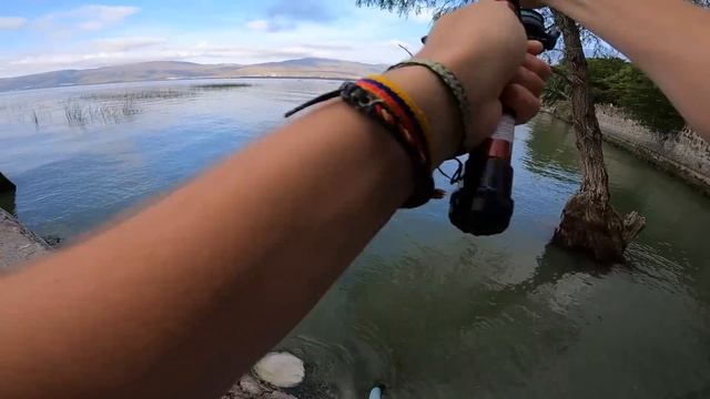 PESCA CON POCO DINERO! | Caña, Carrete, línea y señuelo $500 pesos смотреть онлайн