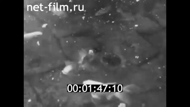 1986г. Родники. меланжевый комбинат "Большевик". Ивановская обл смотреть онлайн