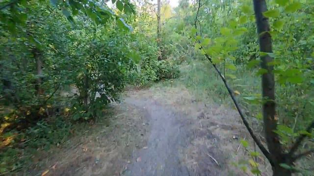 верёвочный парк Стрекоза в Святогорске смотреть онлайн