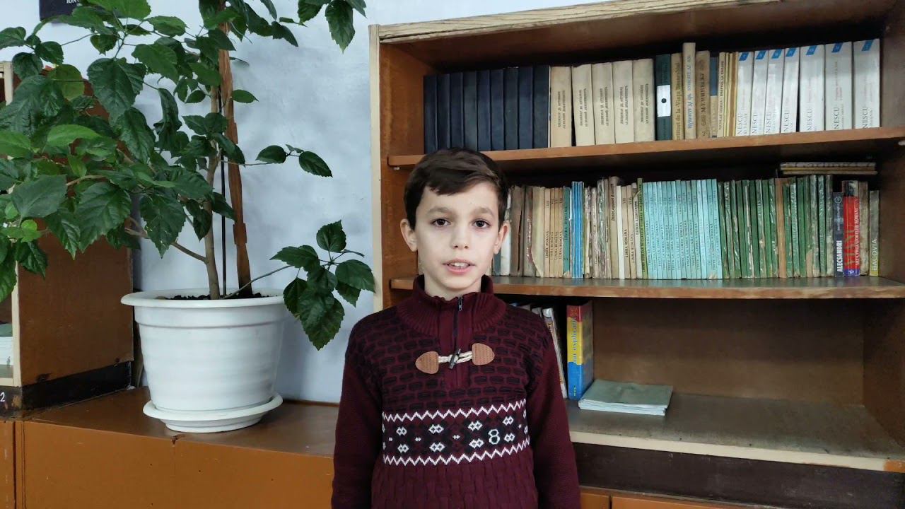 Drepturile Copilului 2021 смотреть онлайн