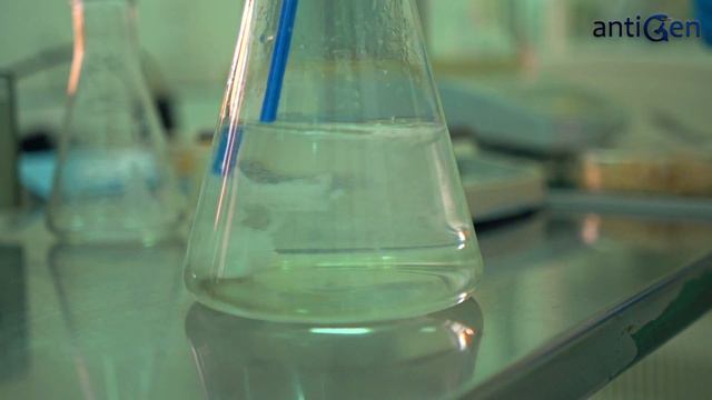 AntiGEN смотреть онлайн