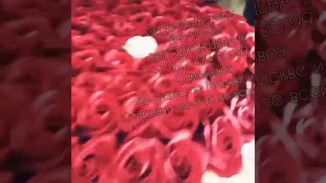Мыльные розы 101 роза 8 922 434 55 99 Доставка смотреть онлайн