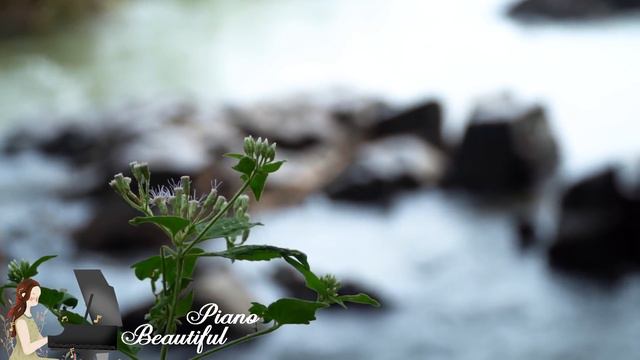 Beautiful Romantic Piano & Violin Love Songs Instrumental 💖Most Old Beautiful Love Songs 70s 80s 90 смотреть онлайн