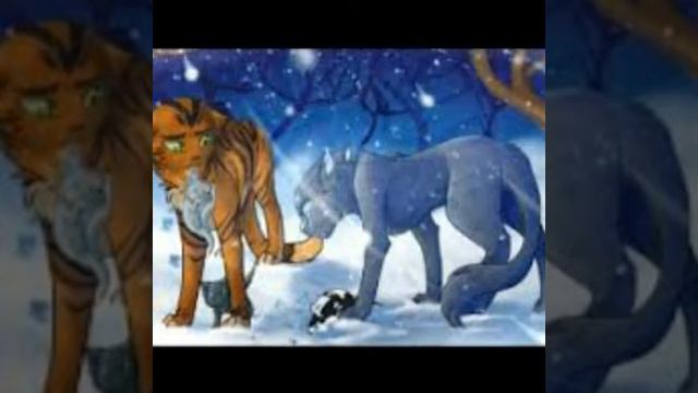 Синяя Звезда смотреть онлайн