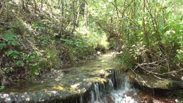 Здесь жила деревня Соловьевка смотреть онлайн