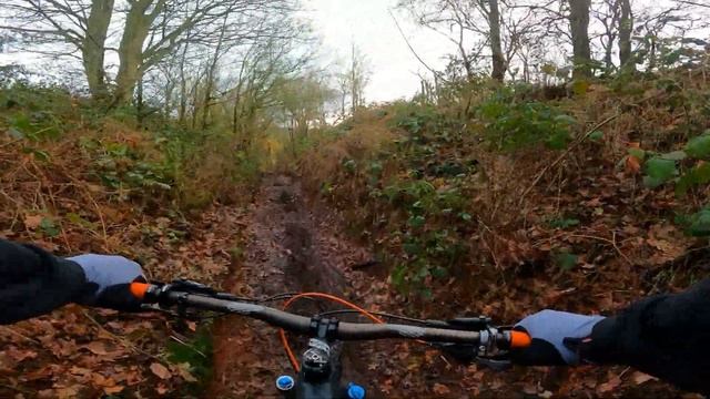 Cube Bikes :The Most Underrated Brand ! They Are Epic . Cube Stereo 140 Carbon