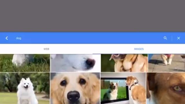 Insert Image Google Docs (Ipad) смотреть онлайн