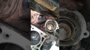 Ока выбрасывает тосол#Не срабатывает вентилятор#. ока кипит