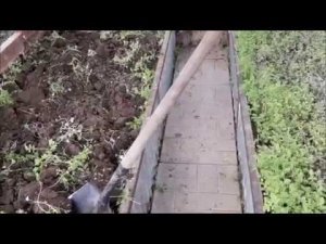 Сидераты в теплице осенью/Когда перекапывать