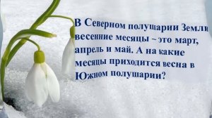 Онлайн-викторина «Весенний лес! В нем полным-полно чудес!»