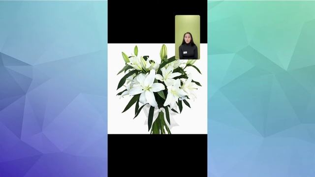 Важно знать! Чем ваша кошка может отравиться дома смотреть онлайн