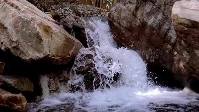 Старшая сноха не давала общаться с внучкой, а сын ей в этом потакал. Спустя много лет они возмущают