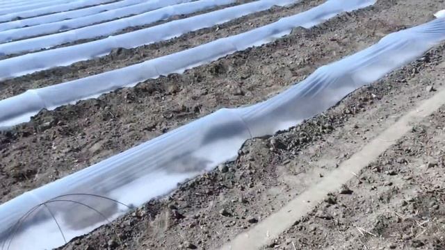 Работа в сельской местности!!! смотреть онлайн