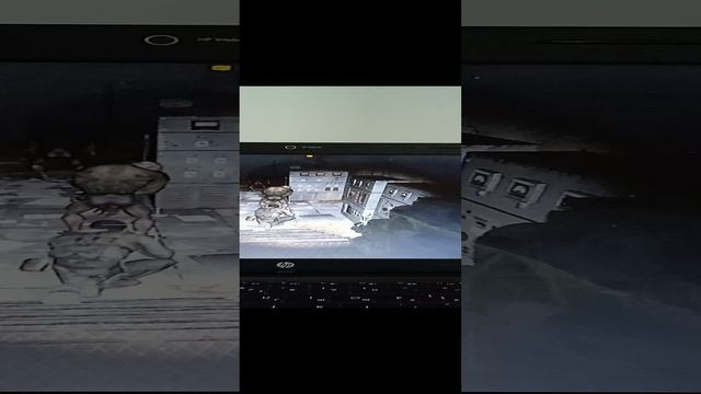 сталкер зов Припяти прохождение 4 смотреть онлайн