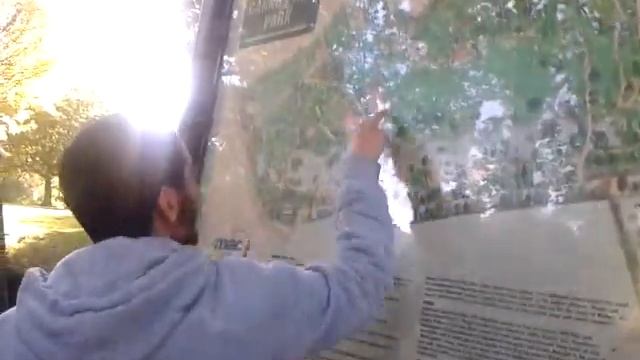 "wheres wally" смотреть онлайн