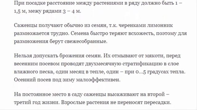 Лимонник: Выращивание, полезные свойства. смотреть онлайн