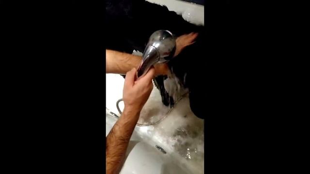 Лабрадор в ванной смотреть онлайн