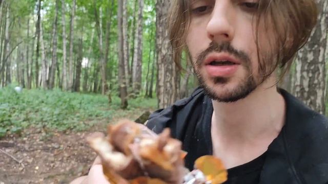 Стрим из Измаиловского парка в Москве смотреть онлайн