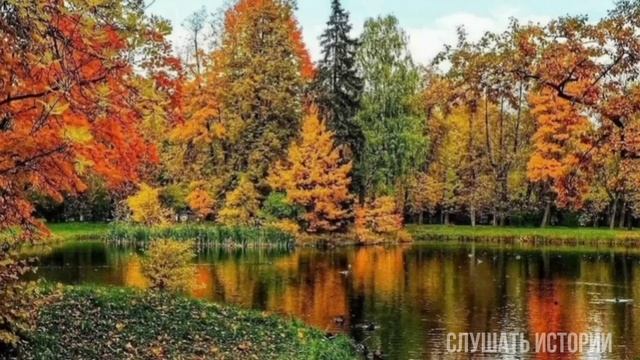 В придачу к мужу ей досталась его бывшая жена. Он бежал к ней по первому зову... смотреть онлайн