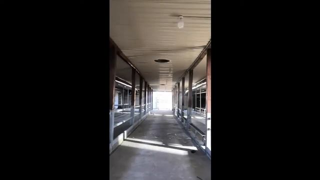 Приточно вытяжная вентиляция для КРС смотреть онлайн