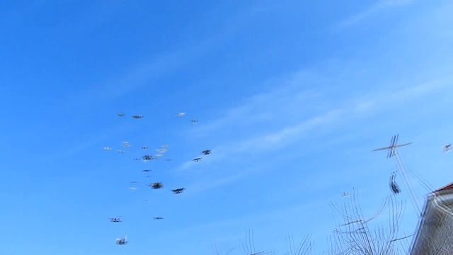 Поднимаем излишки .Безкружные голуби. смотреть онлайн