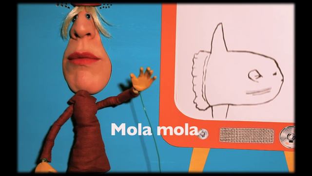 Hippo+47 - Ichi смотреть онлайн