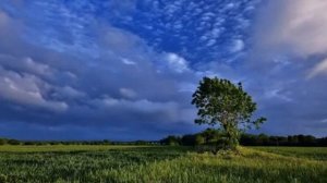 О, мать моя, Россия, Русь... Стихи... Инет, Черный-Соколов,  муз. и исп. #СамуилФрумович