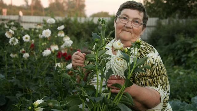 Кулинарные секреты из Долбушки! смотреть онлайн