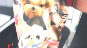 VLOG: 1ДЕНЬ С НАМИ,ЙОРКШИРСКИЕ ТЕРЬЕРЫ.ЩЕНОК ЙОРКА.ПОКУПКИ ДЛЯ ЙОРКОВ.