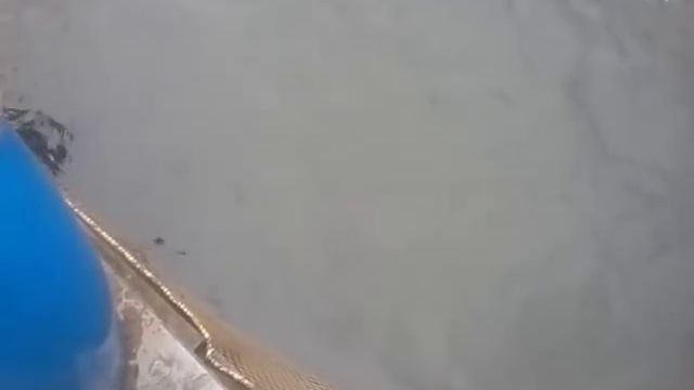 08.10.18 запуск форели на малый водоём в кокино смотреть онлайн