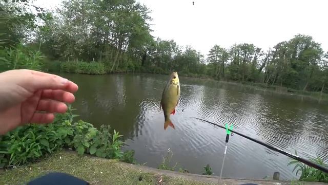 Рыбалка на поплавок в мае! САЛО против КУКУРУЗЫ батл! Рыбалка 2022 смотреть онлайн