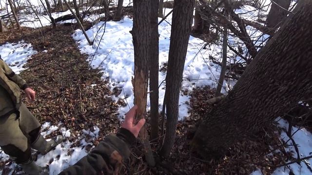 СОЛОНЦЫ ДЛЯ ЗАЙЦА : ДЕЛАЕМ ПОДКОРМКУ ДЛЯ ЗАЙЦА ЗИМОЙ СВОИМИ РУКАМИ смотреть онлайн