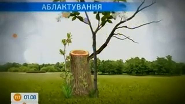 010 САД 01 08 2014 Аблактировка смотреть онлайн