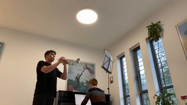 Tomaso Albinoni - Concerto in G Minor Op. 5 no. 11 (arr. Dokshizer) - II. Allegro смотреть онлайн