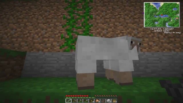 Клиент Minecraft 1.2.5 v0.11 c 50 модами от DragonX смотреть онлайн