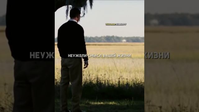 #мотивация #силаслова#успех