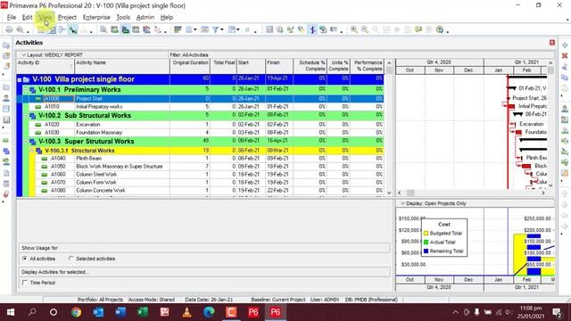 How to Export and Import Layouts in primavera p6 PLF files |planning p6| смотреть онлайн