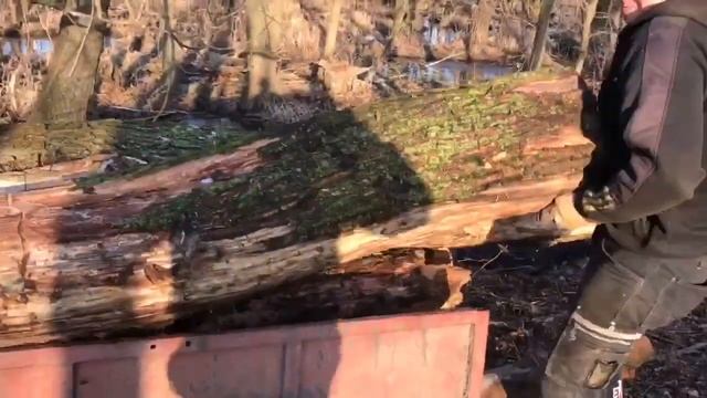 Весенняя заготовка дров