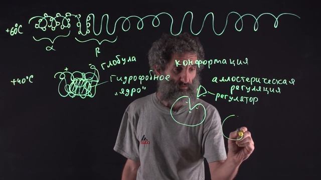 Цитология. Лекция 21. Третичная и четвертичная структуры белка смотреть онлайн