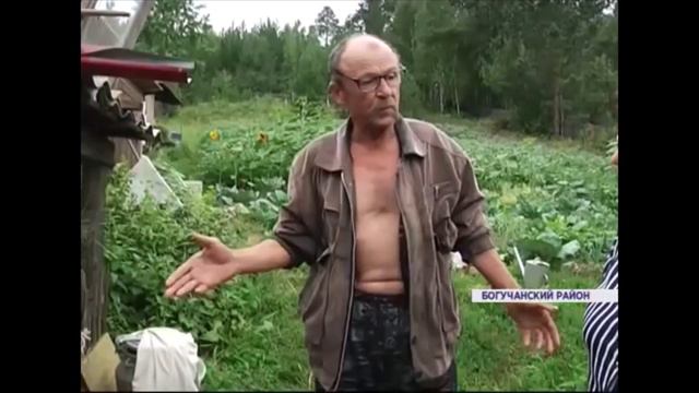 КУРИЦЫ КАЙФУЮТ. ПЛЮШЕВАЯ ВЫДРА. СМЕШНЫЕ НОВОСТИ смотреть онлайн